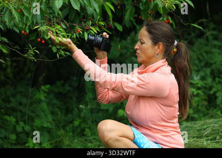 Eine fokussierte Frau, die eine Kamera hält, nimmt sorgfältig Nahaufnahmen von hellroten Kirschen auf, die an einem Kirschbaum mit üppigen grünen Blättern hängen Stockfoto