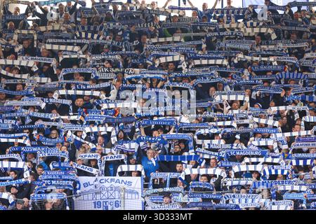 firo: 02.11.2025 Fußball, Fußball, 2. Liga, 2. Bundesliga, Saison 2025/2026, VfL Bochum 1848 - 1.FC Magdeburg 2:0 Magdeburger Fans, Schals Stockfoto