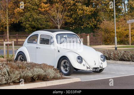 Weißer Vintage Typ 1 Original VW VW Käfer Auto parkt auf einem gepflasterten Gelände in der Nähe von herbstfarbenen Bäumen und landschaftlich begrünten Grünflächen in großbritannien Stockfoto