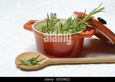 Rosmarin, Rosmarinblätter auf Kochlöffel mit Kochtopf, Rosmarinzweig im Topf Stockfoto