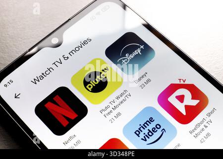 25. Oktober 2024, Brasilien. In dieser Fotoabbildung wird das Netflix-, Pluto TV-, Disney Plus- und Prime Video-App-Logo auf einem Smartphone-Bildschirm angezeigt Stockfoto
