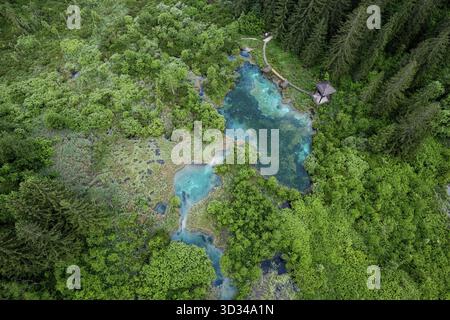 Naturschutzgebiet Zelenci in Slowenien. Bergfeuchtgebiete mit türkisfarbenem See, seltenen Pflanzen und Watvögeln. Drohnenansicht aus der Luft, Slowenien Stockfoto