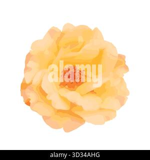 Aquarellrosenblume isoliert auf weiß Stockfoto