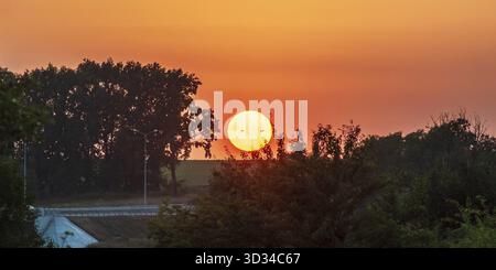 Die große Sonne geht hinter einer Reihe von Bäumen unter und strahlt ein orangenes Leuchten über die Landschaft. Im Vordergrund ist eine Straße zu sehen Stockfoto