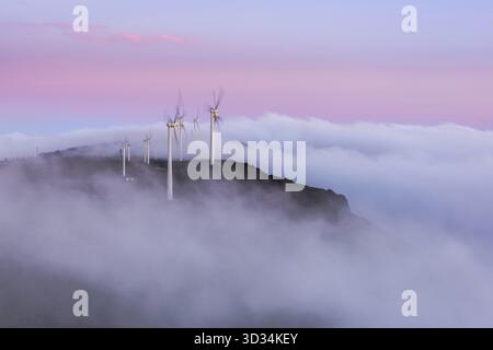 Windturbinen auf einem Hügel im Morgennebel bei Sonnenaufgang Stockfoto