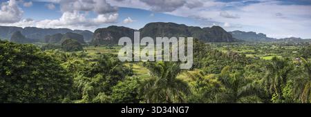 Panoramablick über die Landschaft mit Mogotes in Vinales Tal, Kuba Stockfoto