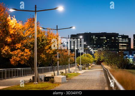 Long Bridge Park Arlington Virginia at Dusk // ARLINGTON, VIRGINIA — Long Bridge Park verfügt über einen gepflasterten Weg, der von modernen Straßenlaternen beleuchtet wird und von Bäumen umgeben ist, die in der Abenddämmerung lebhaftes Herbstlaub zeigen. Dieser Stadtpark ist ein beliebter Erholungsort in Arlington und bietet Wanderwege und Grünflächen. Im Hintergrund säumen moderne Bürogebäude mit beleuchteten Fenstern den Horizont. Der Long Bridge Park ist ein 36 Hektar großer Park, der für seine Sporteinrichtungen und Ausblicke auf Washington D.C. bekannt ist. Er ist ein wichtiger öffentlicher Bereich in Arlington, Virginia, USA. Stockfoto