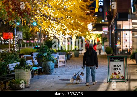 Woman Walks Dogs Past Whole Foods Market Schild Crystal City Arlington Virginia // ARLINGTON, VIRGINIA — Eine Frau geht mit zwei Hunden an einer Leine vorbei an einem Whole Foods Market Schild in Crystal City. Auf dem Schild, das gut sichtbar auf dem Bürgersteig steht, steht „JETZT GEÖFFNET“ und „DAILY SHOP“. Diese urbane Szene in Arlington, Virginia, ist mit Bäumen geschmückt, die mit Lichterketten geschmückt sind und eine helle Abendatmosphäre schaffen. Crystal City ist ein belebtes Viertel, das für seine vielseitig genutzten Gebäude und Fußgängerzonen bekannt ist. Das Arlington County im Norden Virginias ist ein wichtiger Teil der Metropole Washington D.C. Stockfoto
