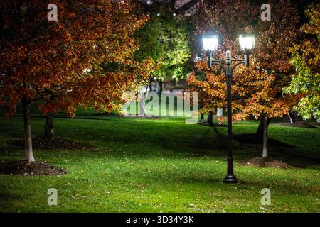 Lampenkolben im Long Bridge Park Arlington Virginia // ARLINGTON, VIRGINIA — Ein Lampenkollektiv beleuchtet Bäume mit leuchtendem Herbstlaub im Long Bridge Park. Dieser städtische Park am Potomac River bietet Erholungseinrichtungen und einen malerischen Blick auf die Skyline von Washington D.C. Der Park wurde ab 2011 in mehreren Phasen eröffnet und ist ein bedeutendes Grünflächenprojekt mit Sportplätzen, öffentlicher Kunst und Fußgängerverbindungen. Die farbenfrohen Blätter auf den Bäumen zeigen die Herbstsaison an und tragen zur natürlichen Schönheit des Parks bei. Stockfoto