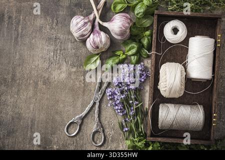 Frische Kräuter aus dem Garten, Draufsicht auf Stein Schiefer Tisch trocknen Stockfoto