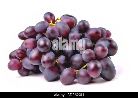 Trauben auf weißem Hintergrund, Trauben verschiedener Sorten und Farben, Nahaufnahme mit selektivem Fokus Stockfoto