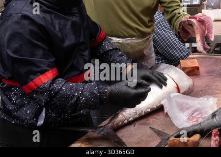 Catania wurde im 8. Jahrhundert v. Chr. von Griechen gegründet und wurde sukzessive von den Römern, Byzantinern, Arabern, Normannen und Spaniern regiert. alle sind gegangen Stockfoto