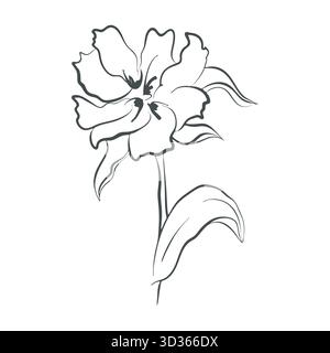 Handgezeichnete Dekortinte Blumenblatt-Form. Modernes Blumensymbol, kräftige Pinselkontur, niedliche, flache Kritzelei-Zeichentrickstil, schwarze Linie Stock Vektor