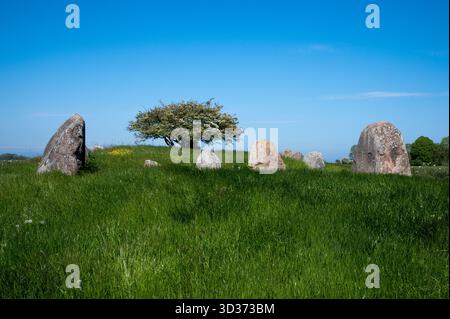 Rund 5000 Jahre alte Großsteingräber große Dolmen in der Nähe von Nobbin im Norden der Insel Rügen in der Ostsee, im Nordosten Deutschlands. Stockfoto