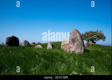 Rund 5000 Jahre alte Großsteingräber große Dolmen in der Nähe von Nobbin im Norden der Insel Rügen in der Ostsee, im Nordosten Deutschlands. Stockfoto