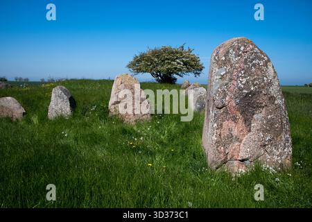 Rund 5000 Jahre alte Großsteingräber große Dolmen in der Nähe von Nobbin im Norden der Insel Rügen in der Ostsee, im Nordosten Deutschlands. Stockfoto