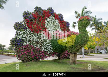 Ein Besuch im Jardines de México Park in Morelos, Mexiko Stockfoto