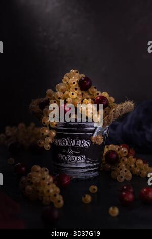 Ein kleiner Eimer mit Blumen und Garten überläuft mit gelben und roten Johannisbeeren. Der dunkle Hintergrund verleiht der Szene einen besonderen Reichtum und zeigt den Stockfoto