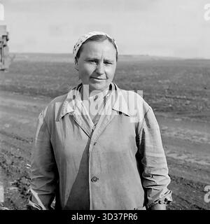 Archiv Schwarzweißfoto von 1961 im Bezirk Sloviansk, ukrainische SSR. Ein Porträt einer Kollektivbauerin (Kolchoznitsa) aus einem lokalen Kolchoz, aufgenommen während des 22. Parteitags. Sie steht auf einem riesigen, gepflügten Feld, das sich bis zum Horizont erstreckt. Sie trägt einfache Arbeitskleidung: Eine Jacke und ein Kopftuch. Dies ist ein klassisches „Arbeiterporträt“ einer sowjetischen Frau in der Landwirtschaft der 1960er Jahre Stockfoto
