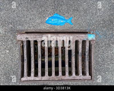 Blauer Fish Storm Drain Marker mit dem Text „DRAINS ONLY FOR RAIN“, platziert über einem Metallgitter auf einer Asphaltoberfläche in Auckland, New Zeal Stockfoto