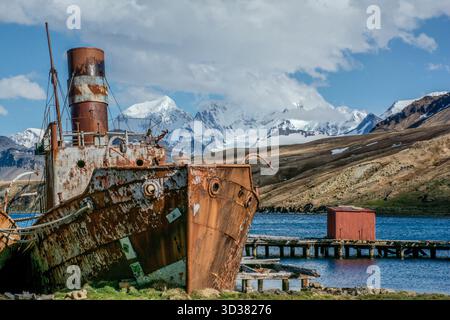 Verrostete alte Dampfschiffe, die in der Nähe von Grytviken, South Georgia Island, zum Walfang verwendet wurden Stockfoto