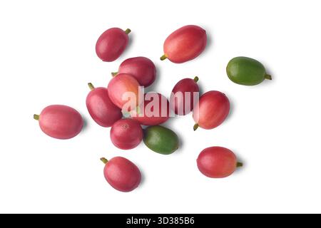 Reife rote Kaffeekirschen verstreut, leuchtende Hochglanzfrüchte mit grünen Stielen isoliert weißem Hintergrund, Konzepte der frischen Ernte und Landwirtschaft, Stockfoto