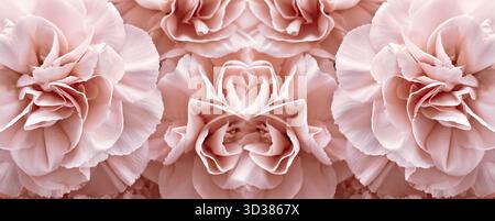 Nahtloser Hintergrund Mit Blassrosa Nelke Stockfoto