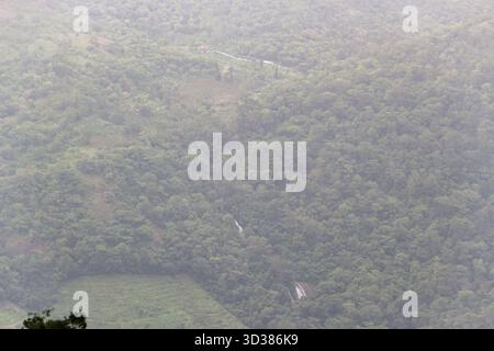 Nebliger, dichter, grüner tropischer Regenwald und kleine Wasserfälle, die hinunter fallen Stockfoto
