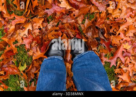 Ästhetische schwarze Stiefel stehen im Herbst auf orange gefallenen Blättern. Stiefel, die auf knusprige Blätter stampfen. Entspannender Herbstspaziergang mit schönen warmen Farben. Stockfoto