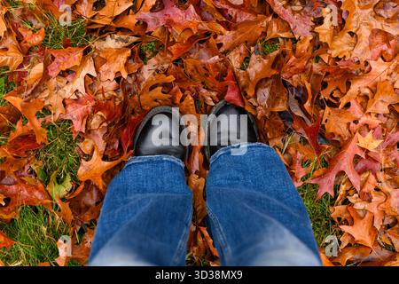 Ästhetische schwarze Stiefel stehen im Herbst auf orange gefallenen Blättern. Stiefel, die auf knusprige Blätter stampfen. Entspannender Herbstspaziergang mit schönen warmen Farben. Stockfoto