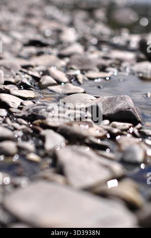 Nahaufnahme eines flachen Baches mit glatten Steinen, fließendem Wasser und sanften Reflexionen, geringer Schärfentiefe, natürlicher Szene Stockfoto