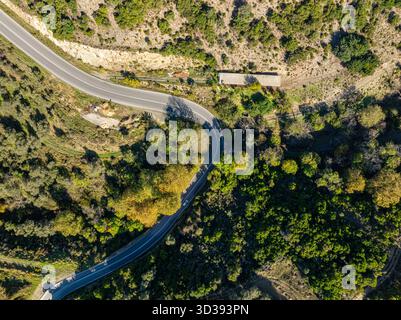 Aus der Vogelperspektive einer kurvenreichen Straße führt durch eine üppige, grüne Landschaft, die Schatten auf die Straße wirft und einen markanten Kontrast zwischen l Stockfoto