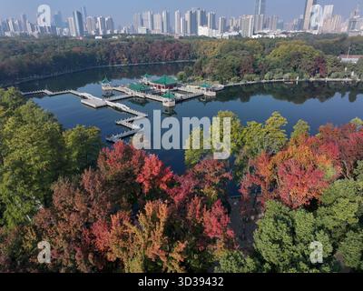 Peking, China. November 2025. Eine Luftdrohne, die am 5. November 2025 aufgenommen wurde, zeigt die Herbstlandschaft des Donghu-Sees in Wuhan, der zentralchinesischen Provinz Hubei. Quelle: Zhao Jun/Xinhua/Alamy Live News Stockfoto