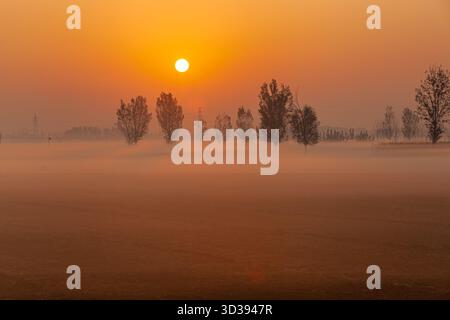 Peking, China. November 2025. Dieses Foto, aufgenommen am 5. November 2025, zeigt die Landschaft neben dem Gelben Fluss im Gaoqing County der Stadt Zibo, Ostchinas Provinz Shandong. Quelle: Zhang Weitang/Xinhua/Alamy Live News Stockfoto