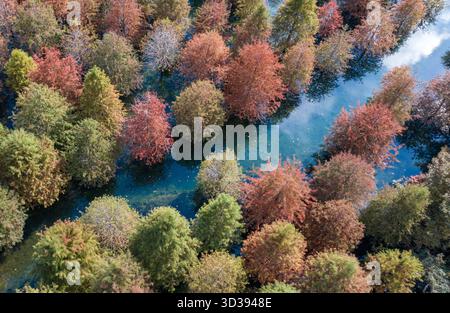 Peking, China. November 2025. Ein Luftbild der Drohne, aufgenommen am 5. November 2025, zeigt die Herbstlandschaft eines Waldparks im Changxing County der Stadt Huzhou in der ostchinesischen Provinz Zhejiang. Quelle: Tan Yunfeng/Xinhua/Alamy Live News Stockfoto