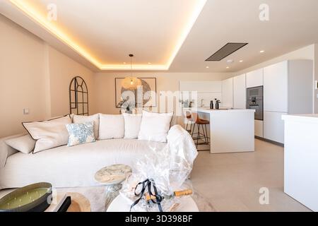 Modernes offenes Wohnzimmer und Kücheneinrichtung in luxuriös renoviertem Haus Stockfoto