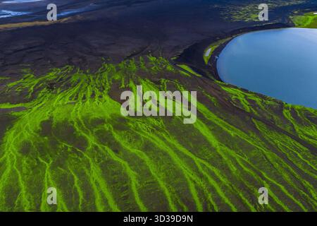 Luftmoosranken auf vulkanischen Hängen am blauen Kratersee in Island Stockfoto