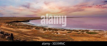 Rosa extrem salziger Syvash Lake, gefärbt von Mikroalgen. Auch bekannt als das faulige Meer oder das faule Meer. Ukraine, Region Cherson, bei Krim und Arabat Nehrung. Stockfoto