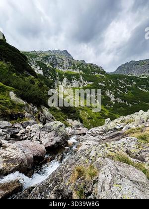 Unberührte alpine Szene in Zakopane, Polen, mit zerklüfteten Felsen, grünen Hängen und einem klaren Bach. Stockfoto
