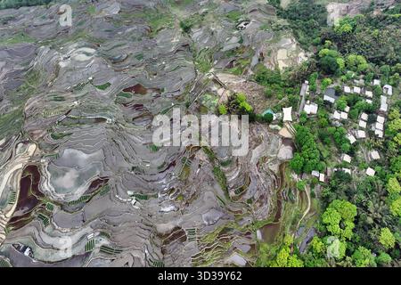 Aus der Vogelperspektive auf die Reisterrassen, die in die Landschaft neben einem kleinen Dorf eingemeißelt wurden und einen faszinierenden Wandteppich aus Erdtönen, Samaiba Ri, geschaffen haben Stockfoto