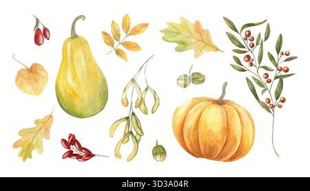 Herbst-ClipArt mit Aquarellkürbissen, Blättern, Beeren, Haselnüssen, Cotoneaster auf isoliertem Hintergrund. Botanische Ernte Set Illustration Stockfoto