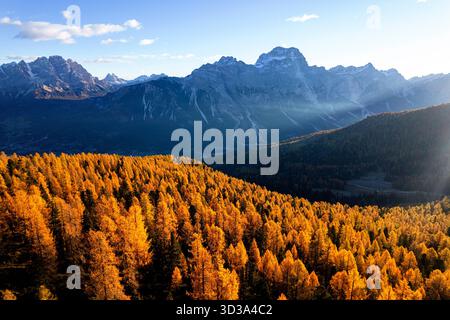 Spektakuläre sonnige Herbstmorgenlandschaft in der Nähe von Cortina d'Ampezzo in den italienischen Dolomiten mit goldenen Lärchen und üppigem Laub Stockfoto