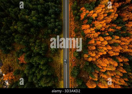 Von oben nach unten auf einem Auto, das durch Pinienwälder in den Wicklow Mountains durch grüne und orangene Herbstbäume getrennt fährt Stockfoto