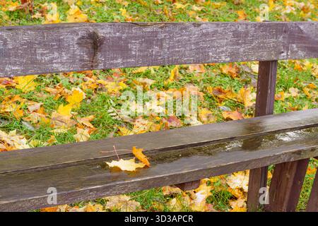 Eine Nahaufnahme von gelben und orangen Herbstblättern, bedeckt mit der ersten Schicht Schnee oder Eis auf einer nassen, strukturierten Holzoberfläche, die den tran symbolisiert Stockfoto