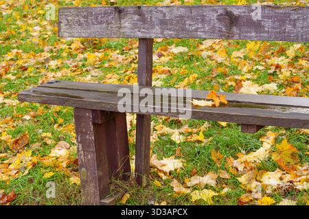 Eine Nahaufnahme von gelben und orangen Herbstblättern, bedeckt mit der ersten Schicht Schnee oder Eis auf einer nassen, strukturierten Holzoberfläche, die den tran symbolisiert Stockfoto