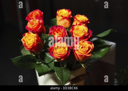 Essen, atemberaubende Nahaufnahme eines lebhaften Bouquets von orange-roten Rosen in einer weißen Vase mit grünen Blättern vor dunklem Hintergrund Stockfoto