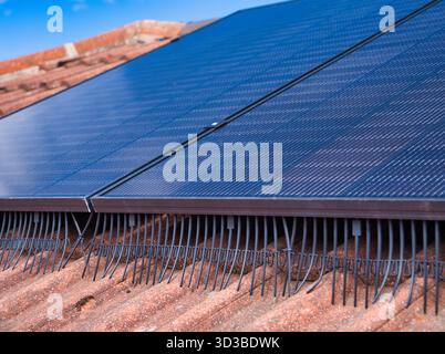 Großbritannien - 29. August 2025: Nahaufnahme von Solarpaneelen für Wohnzwecke mit Vogelgeflecht auf einem gekachelten Dach unter blauem Himmel in Großbritannien, die saubere Energie und moderne Wohneffizienz fördern. Stockfoto