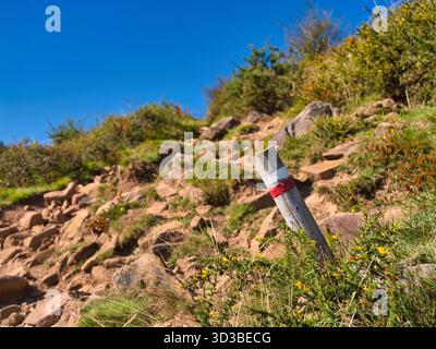 Baskenland, Frankreich - 11. Oktober 2025: Rot-weiße GR10-Markierung auf einem felsigen Hügel unter tiefblauem Himmel im französischen Baskenland, Pyrenäen. Raue Wanderszene lädt zum Erkunden ein. Stockfoto