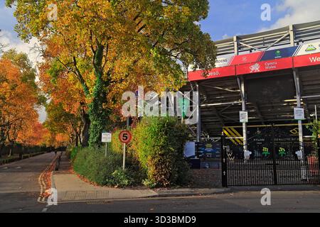 Sophia Gardens Cricket Stadium, Sophia Gardens, Cardiff, South Wales, Großbritannien. Stockfoto