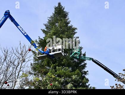 Straßburg, Frankreich. November 2025. Straßburg bereitet sich auf die Festtage vor, indem es Dekorationen und Lichter in den Straßen der Stadt aufstellt. Der große Weihnachtsbaum wurde am Place Kléber errichtet und ist 30 Meter hoch. Straßburg bereitet sich darauf vor, während der Weihnachtsferien 3 Millionen Besucher willkommen zu heißen. 5. November 2025, Straßburg, Ostfrankreich. Foto: Nicolas Roses/ABACAPRESS.COM Credit: Abaca Press/Alamy Live News Stockfoto